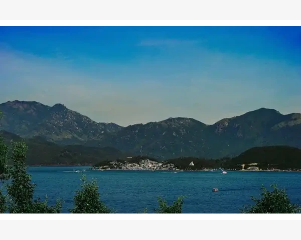 B2B电商数量增长背后的行业变革