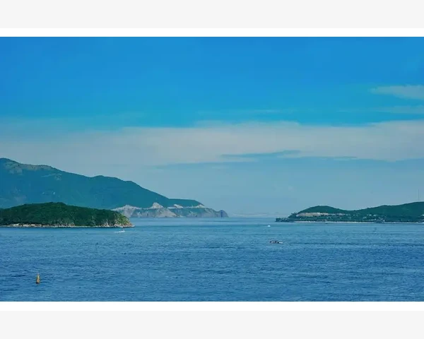 儿童脾胃调理：小米饮用的益处