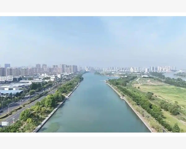 儿童脾胃调理：健康成长的妙方大全